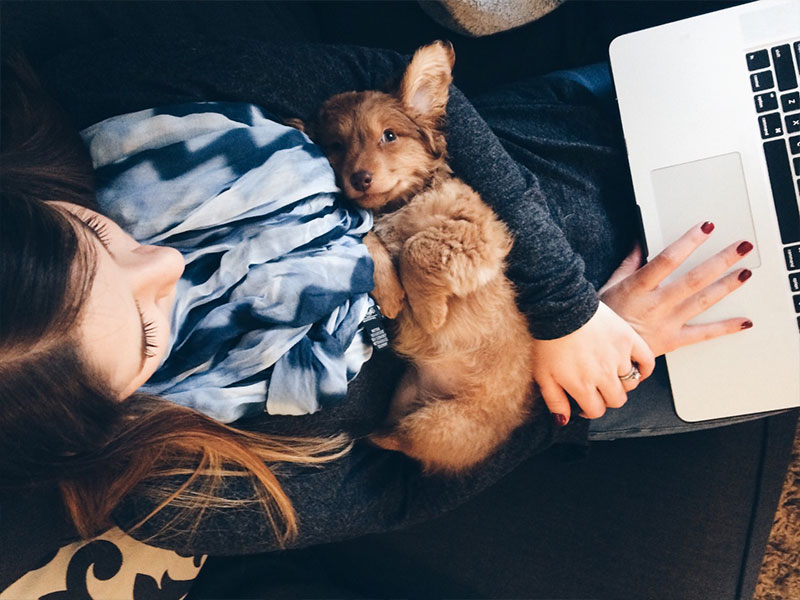 A woman writing an online dating profile with a puppy on her lap.