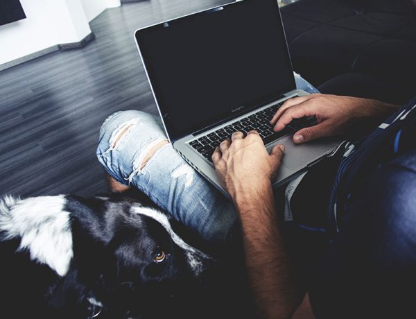 A guy using online dating tips for men to become a better online dater. He's at his computer with his dog by his side.