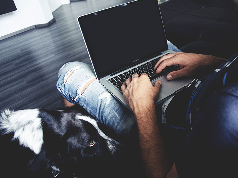 A guy using online dating tips for men to become a better online dater. He's at his computer with his dog by his side.