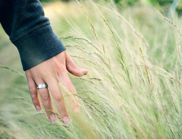 A woman ending a serious relationship running her hand through a wheat field.