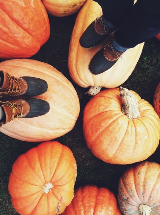 A couple in a pumpkin patch