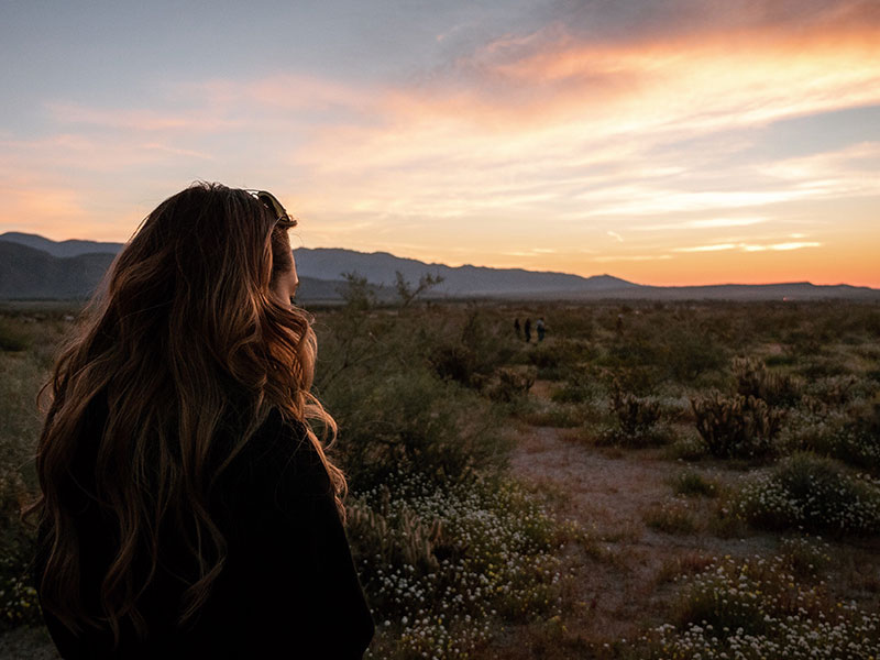 A woman looking into the sunset reflecting on how to start dating after a breakup.