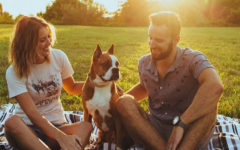 A couple following these first date rules while sitting with a dog on a blanket at the park.