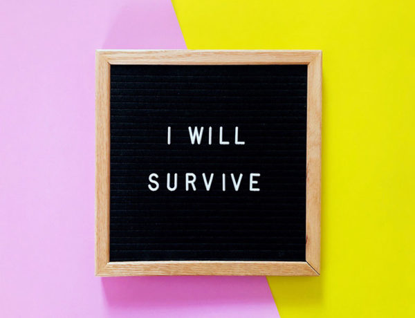 A board with one of these broken heart quotes written on it. I will survive.