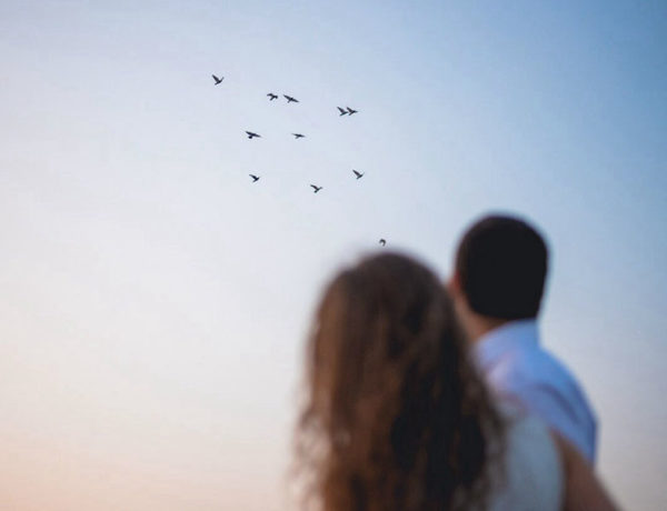 Two couples who have there reasons for getting a divorce, watching birds fly away together.