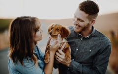 A couple in a good relationship smiling and laughing with their dog.